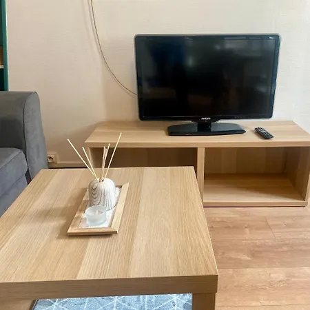 T3 Cosy A 8 Min De Centre